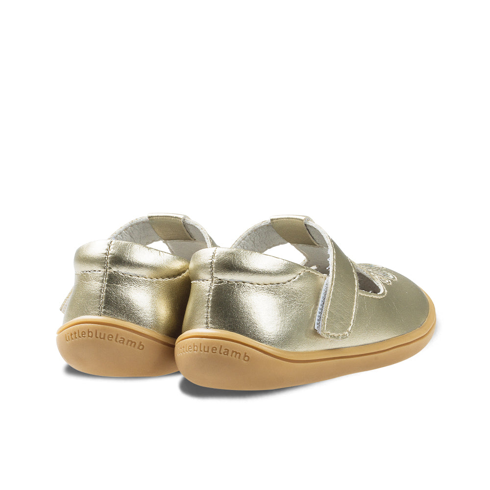 Peacock Dottie Pre-walker Baby Girl Mary Jane Shoes-3